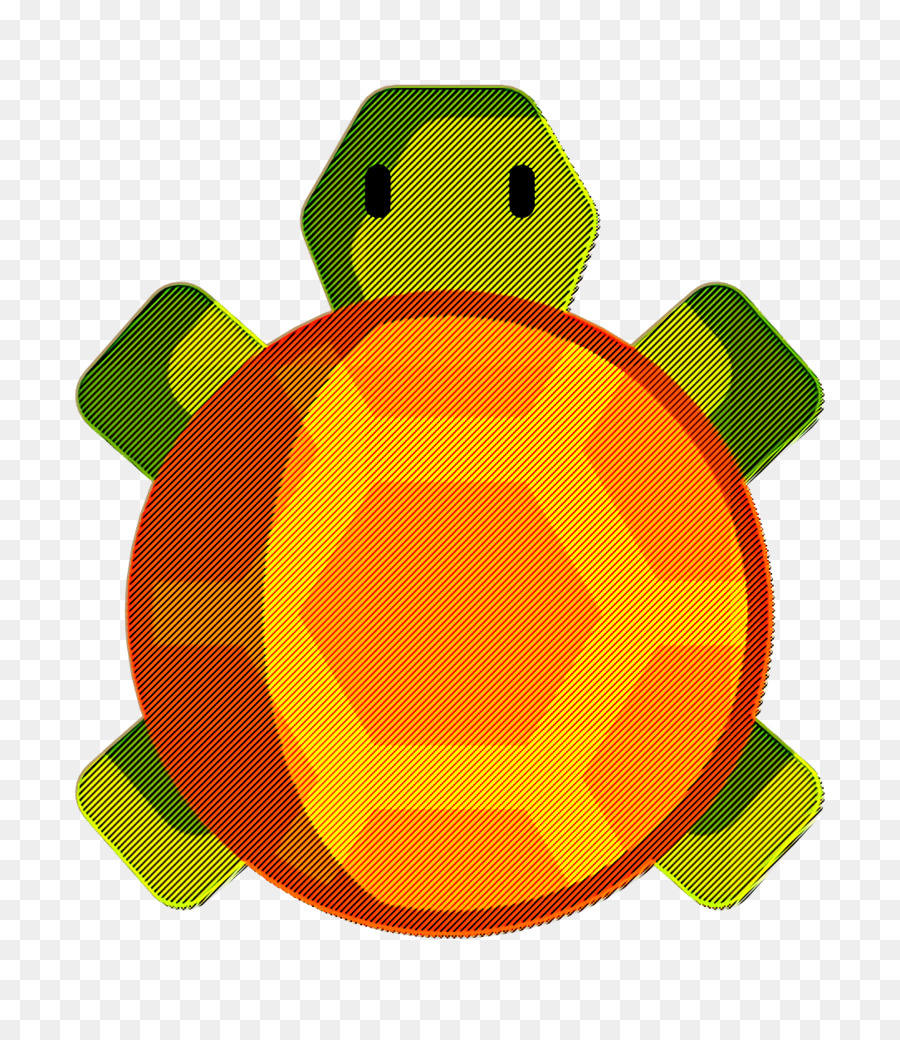 Les Reptiles，Les Tortues PNG