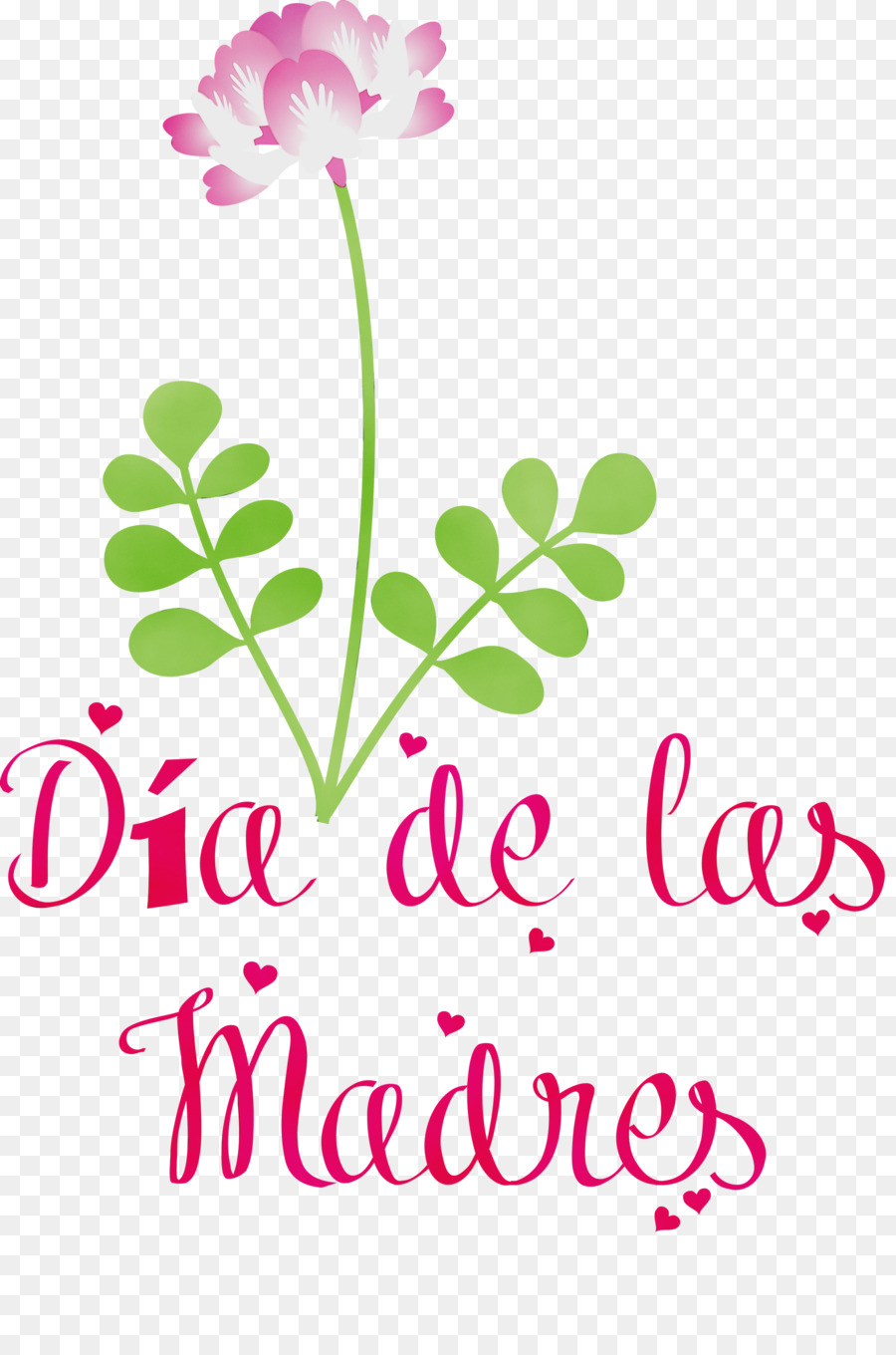 Design Floral，Tige De La Plante PNG