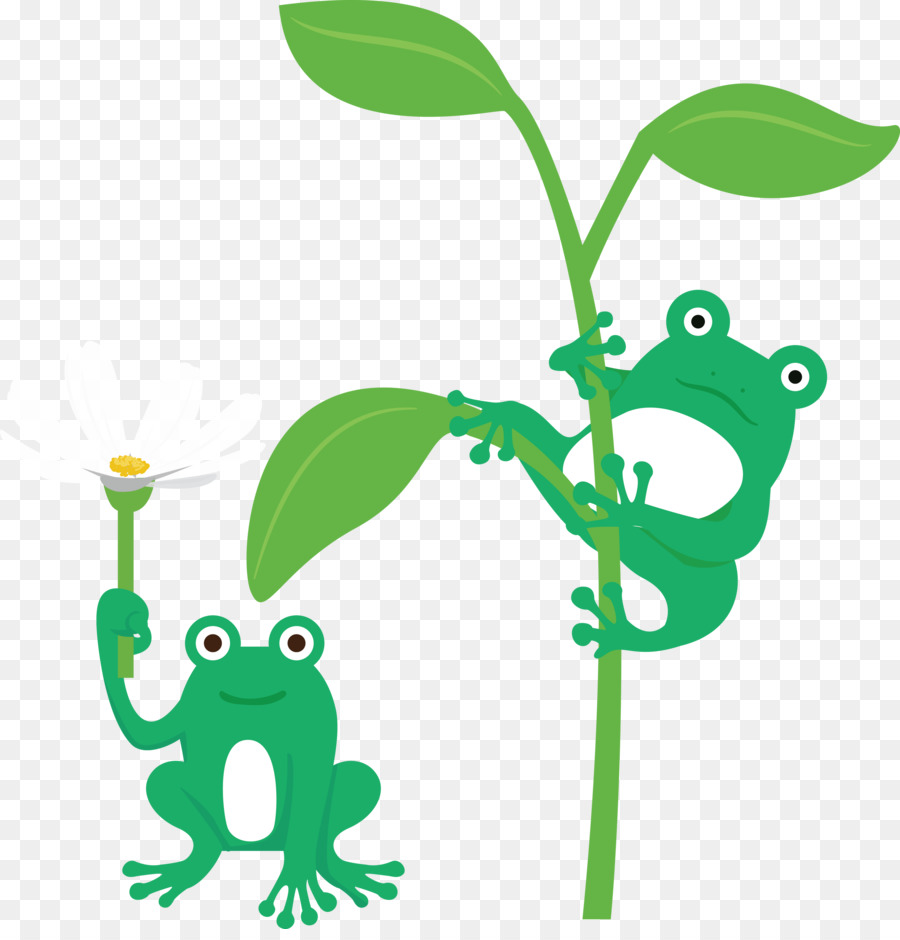 Feuille，Tige De La Plante PNG