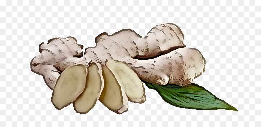 Tubercule，Ingrédient PNG