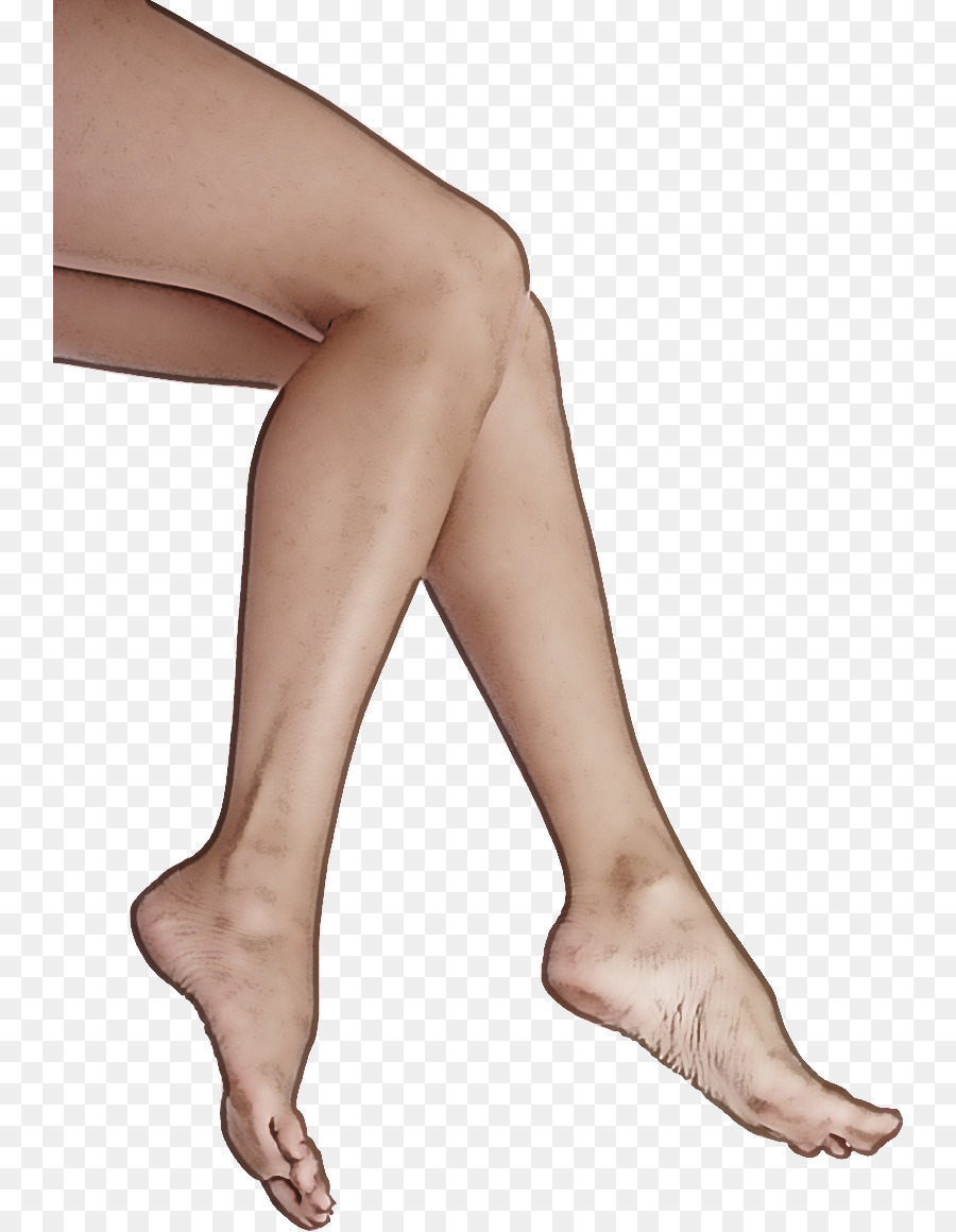 Jambes，Pieds PNG