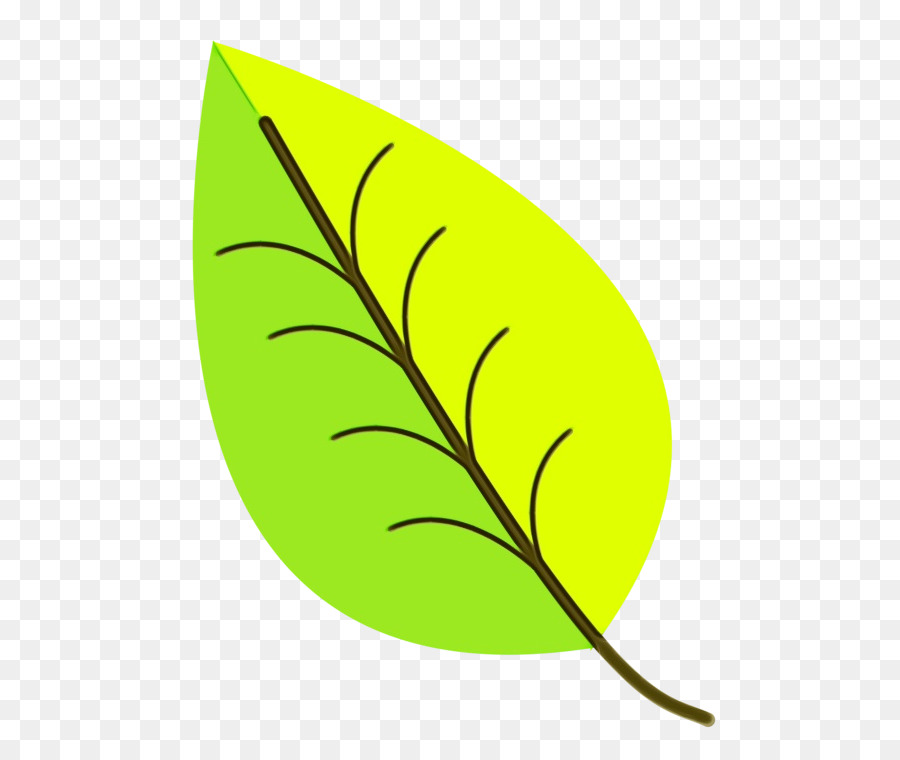 Feuille，Tige De La Plante PNG