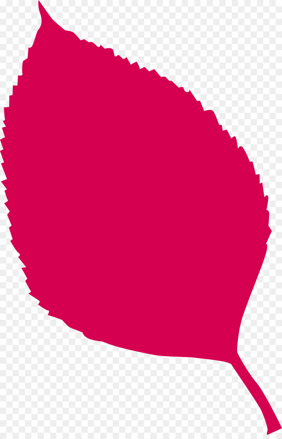 Feuille，Rouge PNG