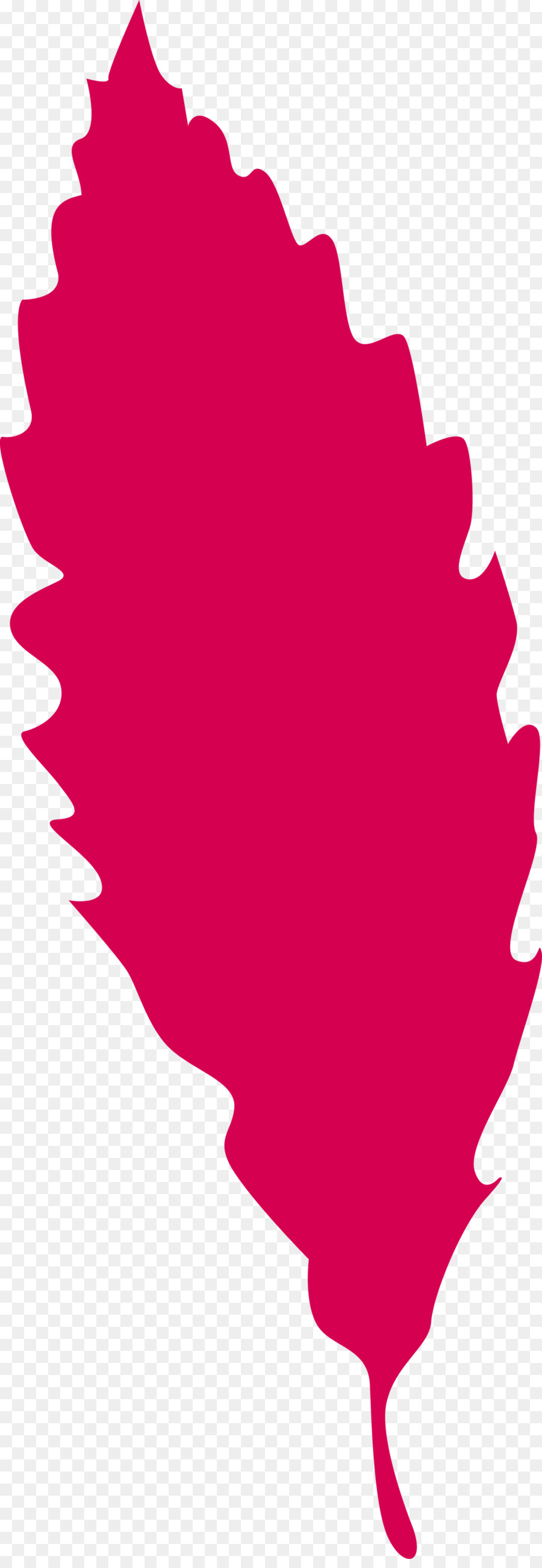 Feuille，Rouge PNG