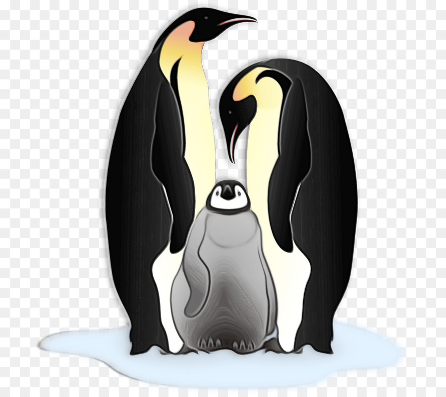 King Pingouin，Les Pingouins PNG