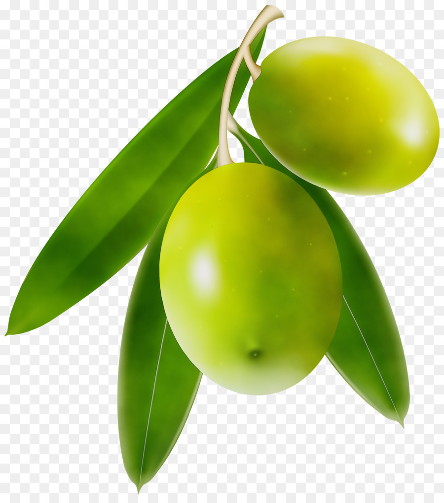 Olives Vertes，Fruit PNG