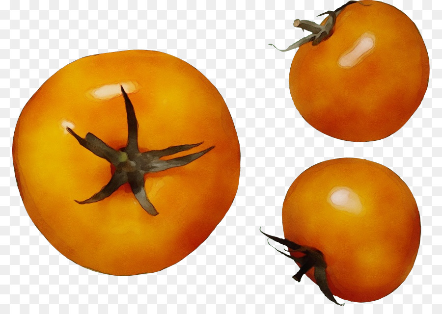 Tomate，Kakirs PNG