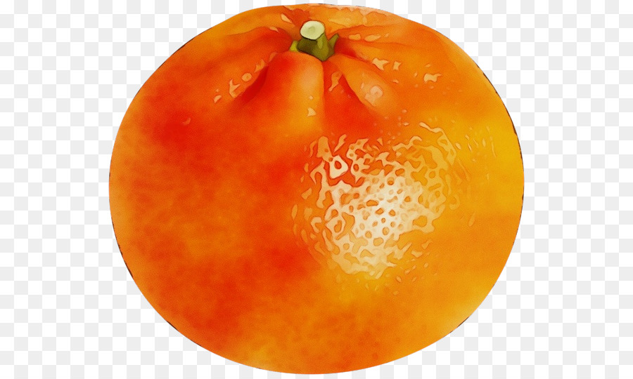 Pamplemousse，Tomate PNG