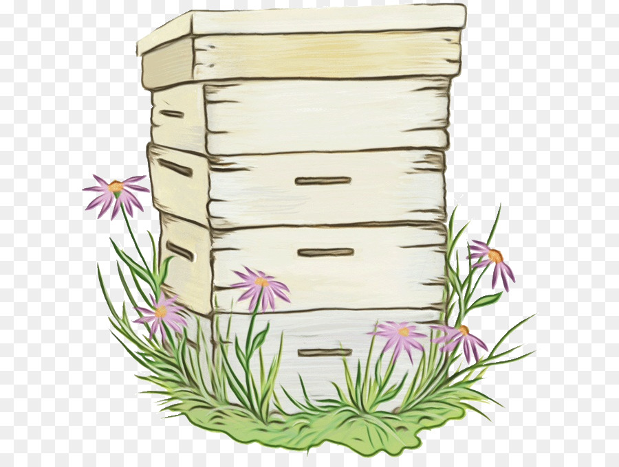 Fleur，Flowerpot PNG