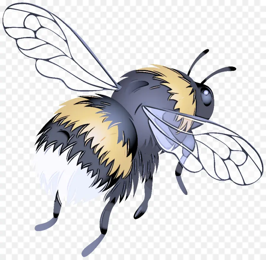 Abeille，Ailes PNG