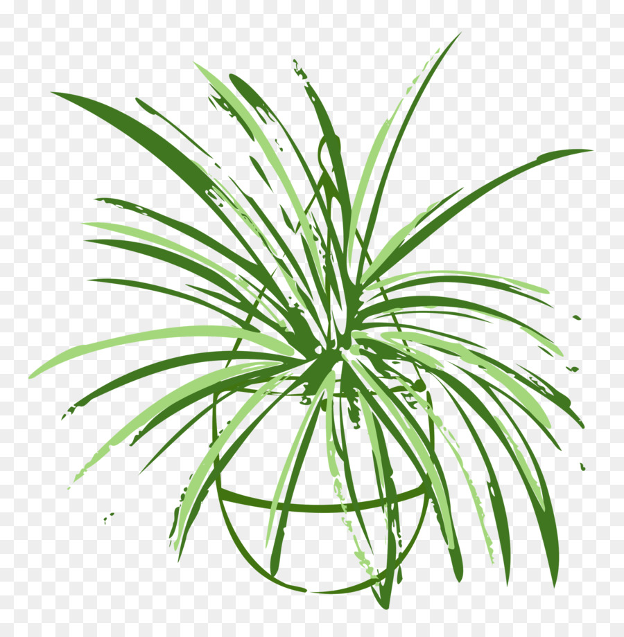 Feuille，Herbes PNG