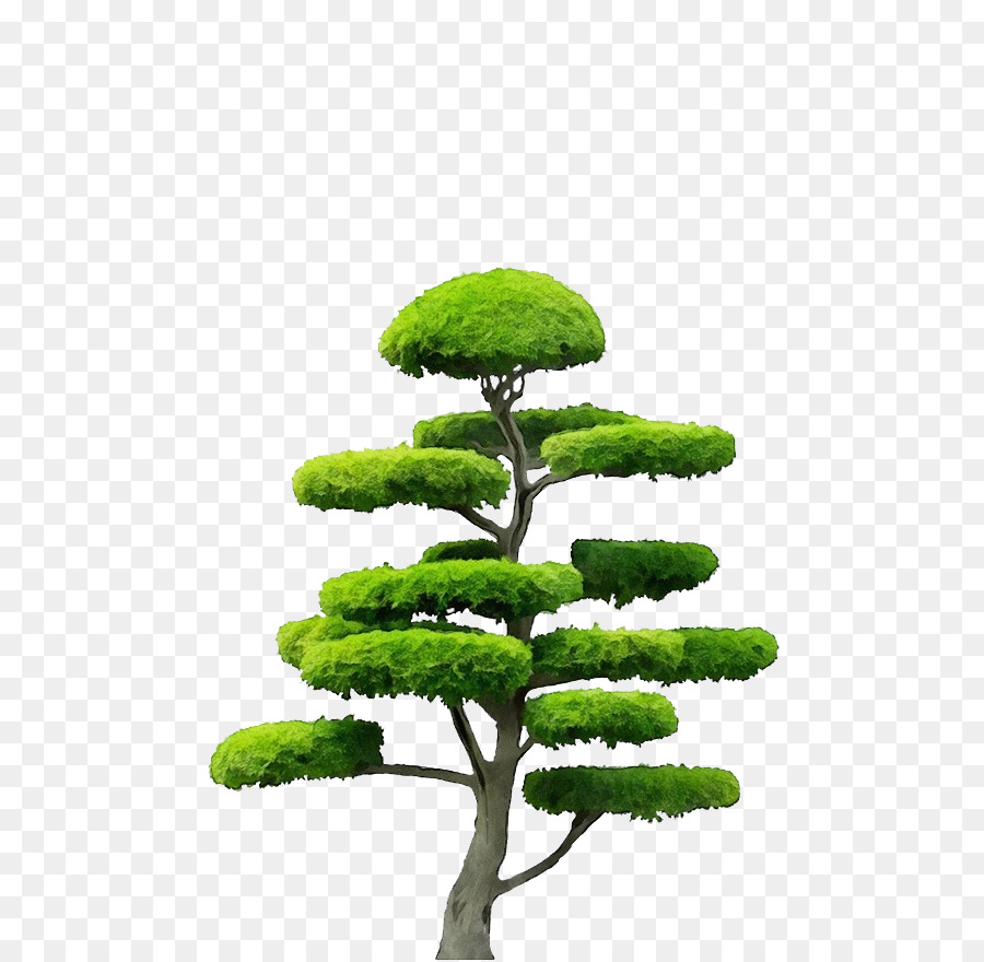 Arbre，Les Palmiers PNG