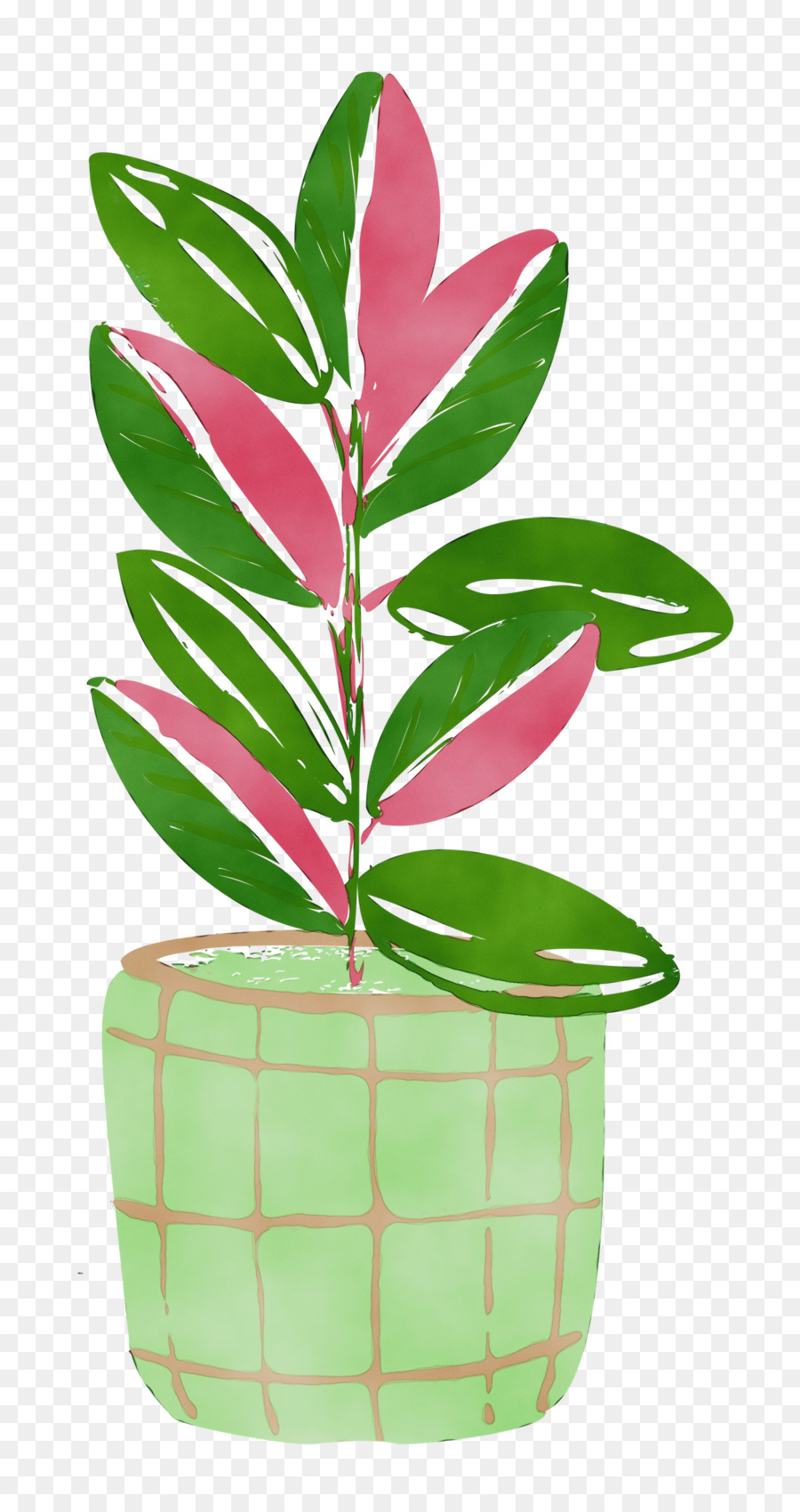 Feuille，Tige De La Plante PNG