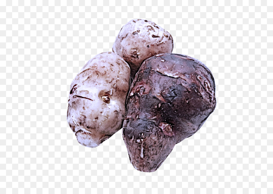 Tubercule， PNG