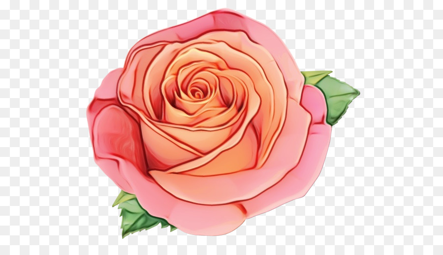 Les Roses De Jardin，Les Fleurs Coupées PNG