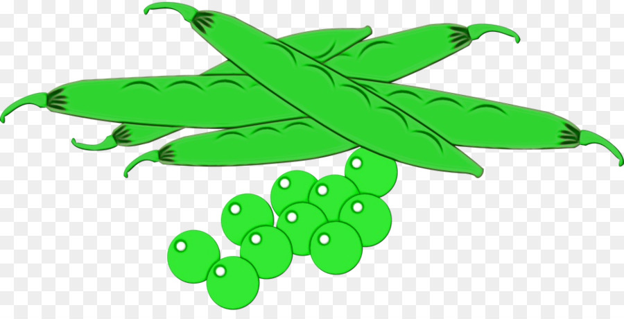 Pois，Légumes PNG