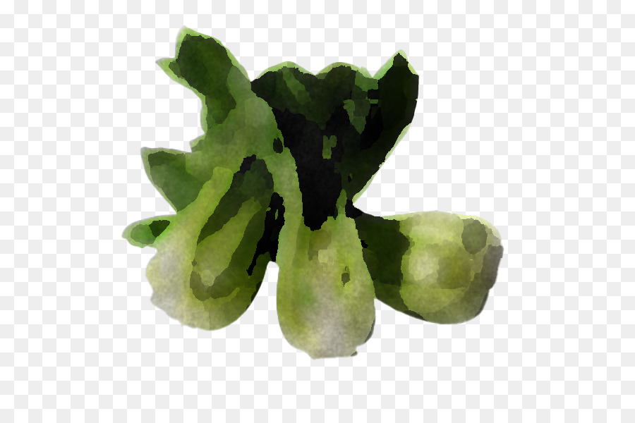 Légume Feuille，Légumes PNG