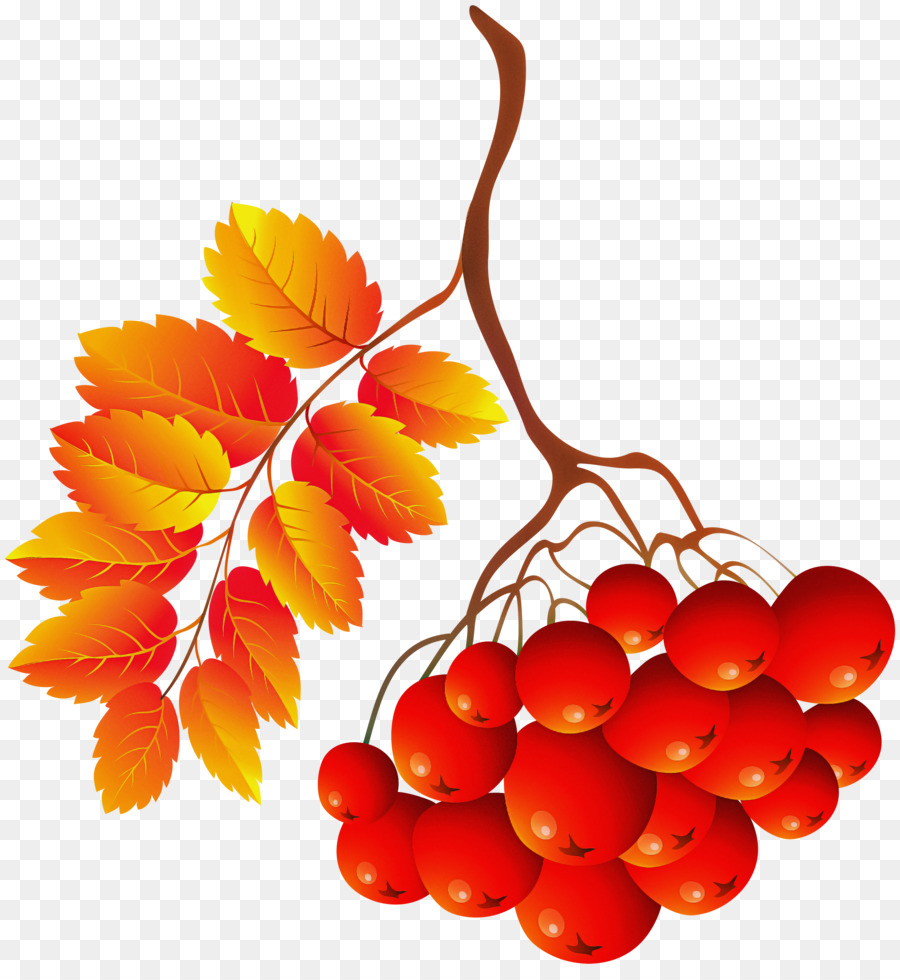 Fruits Rouges，Feuilles PNG