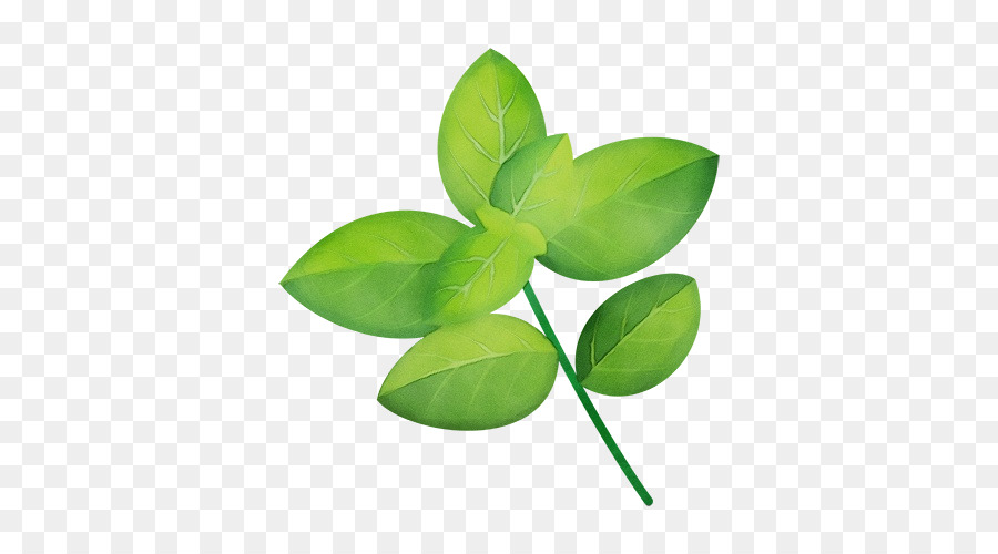 Feuille，Tige De La Plante PNG