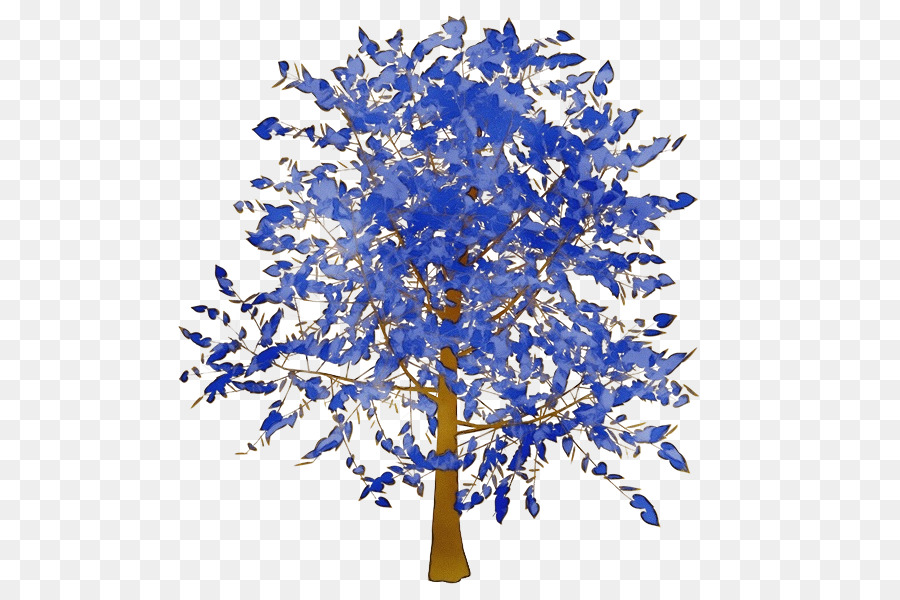 Arbre，Feuilles Blanches PNG