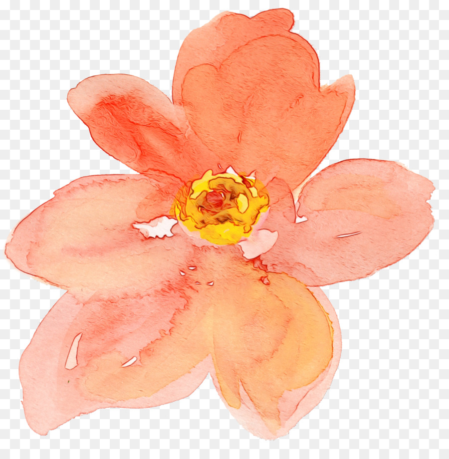 Fleur，La Famille Rose PNG