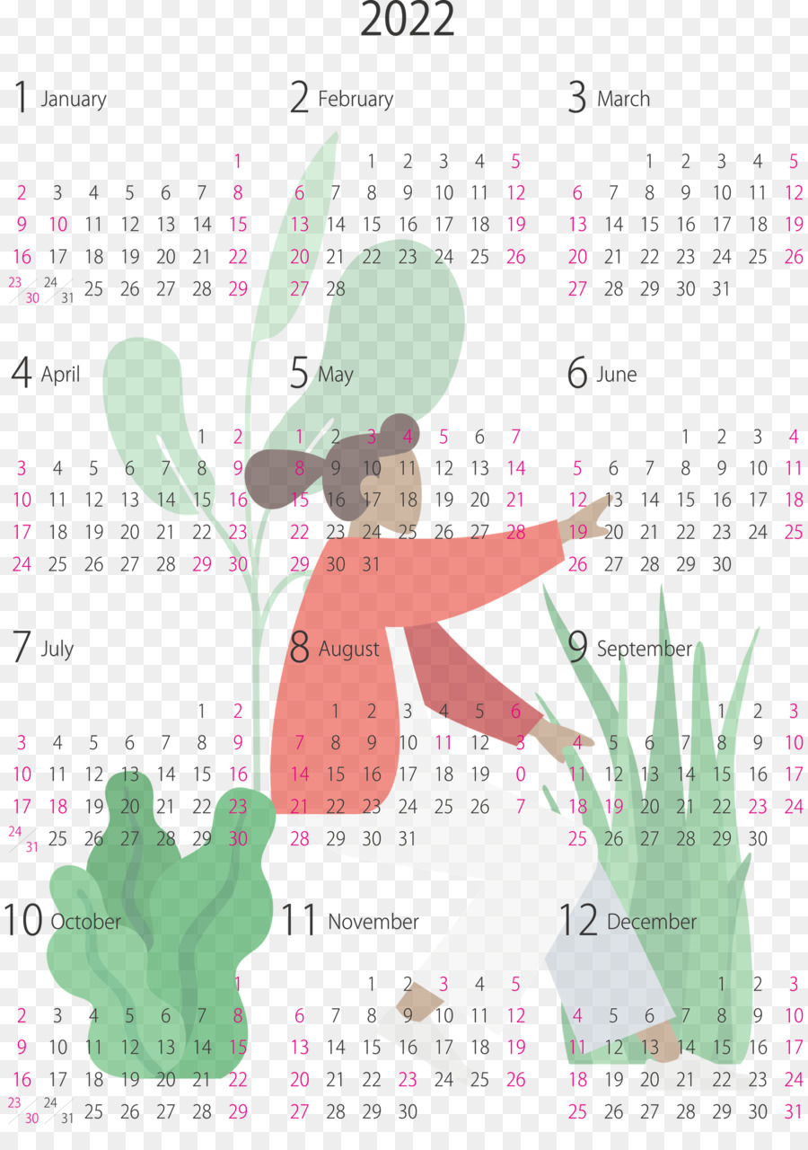 Système De Calendrier，Ligne PNG