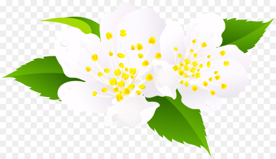 Fleur，Feuille PNG