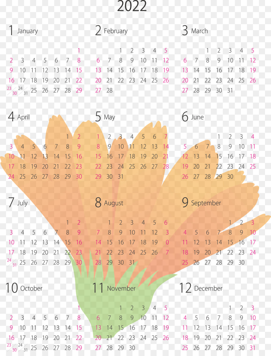 Système De Calendrier，Août PNG