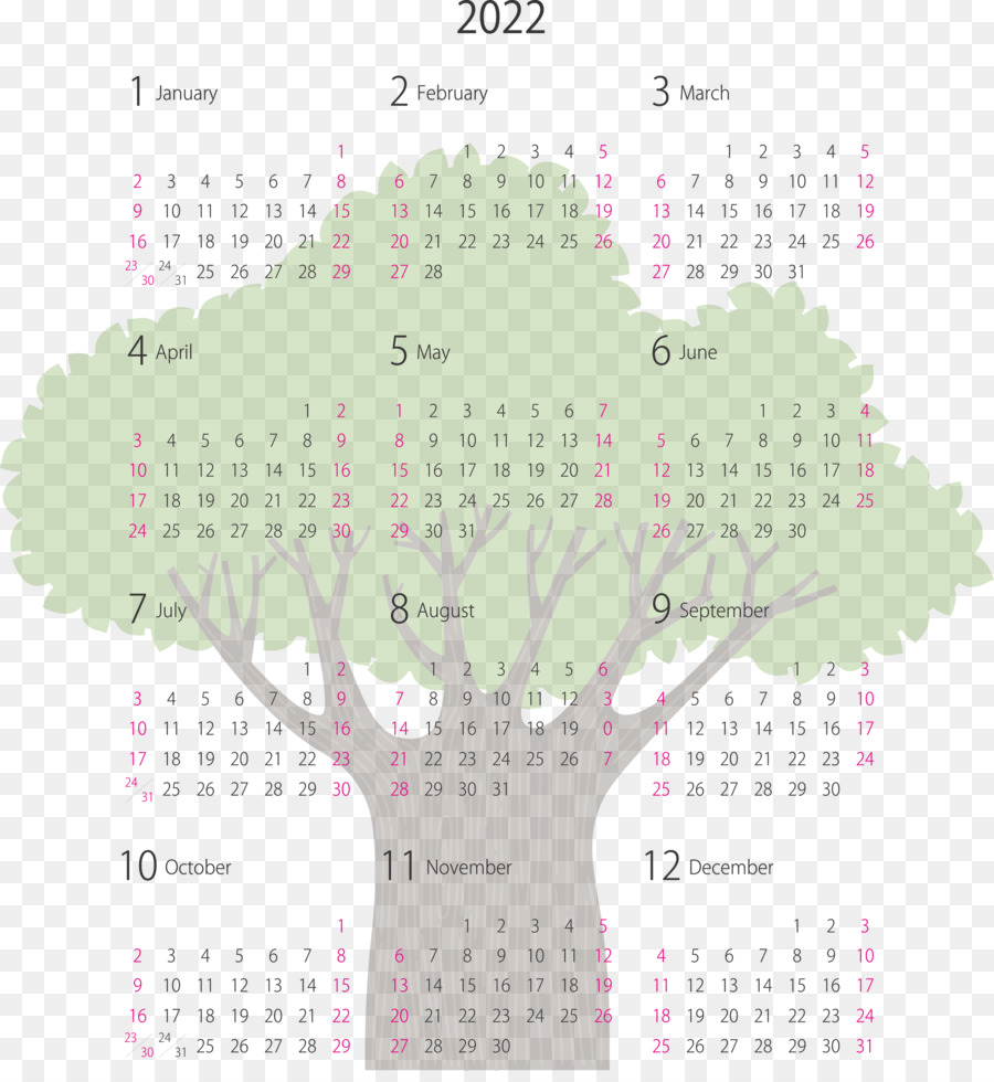 Système De Calendrier，Compteur PNG