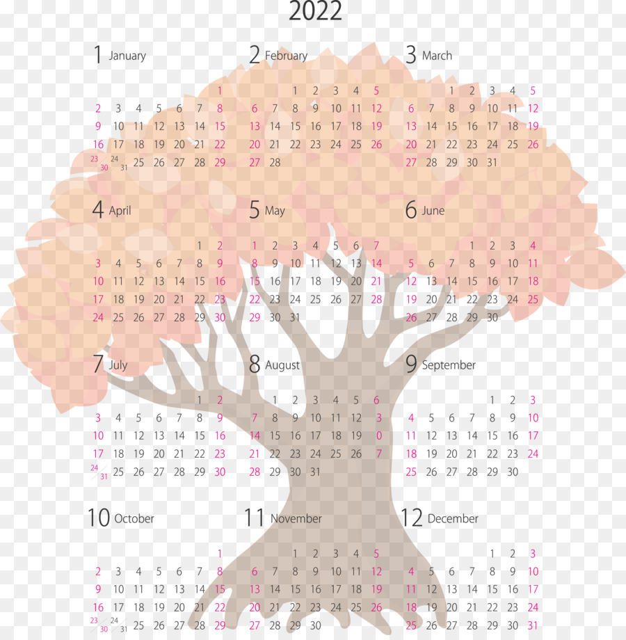 Système De Calendrier，Mètre PNG