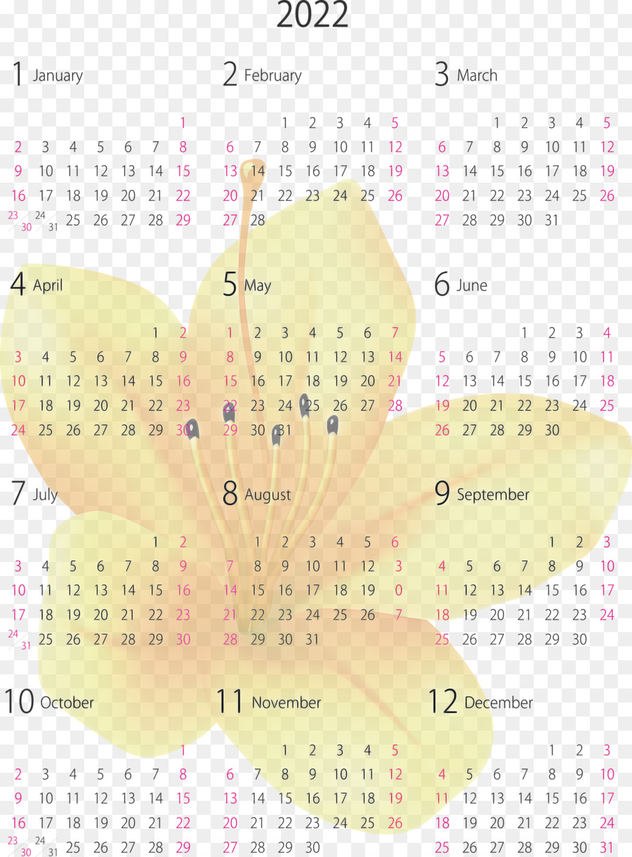 Système De Calendrier，Ligne PNG