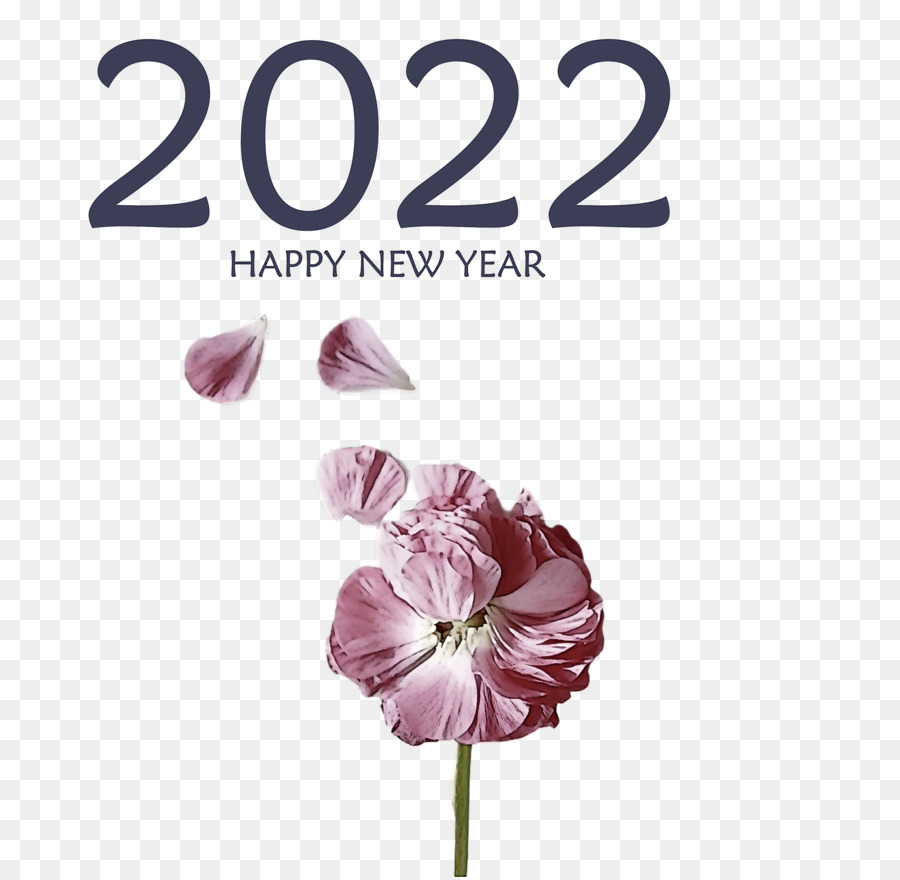 Bonne Année 2023，Nouvelle Année PNG