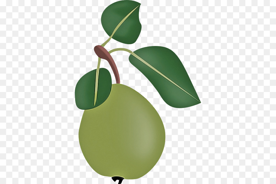 Feuille，Fruits PNG