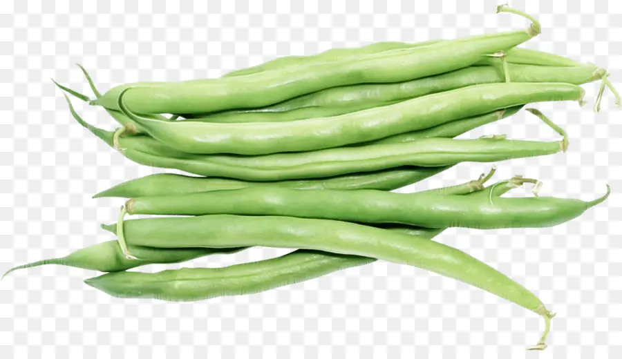 Haricots Verts，Frais PNG