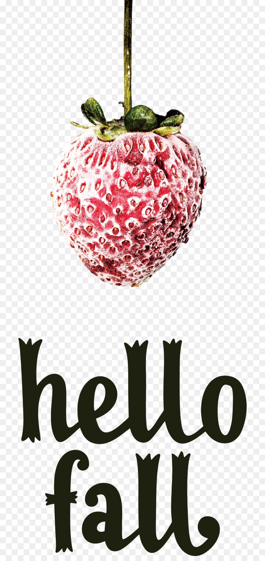 Fraise Congelée，Bonjour Automne PNG