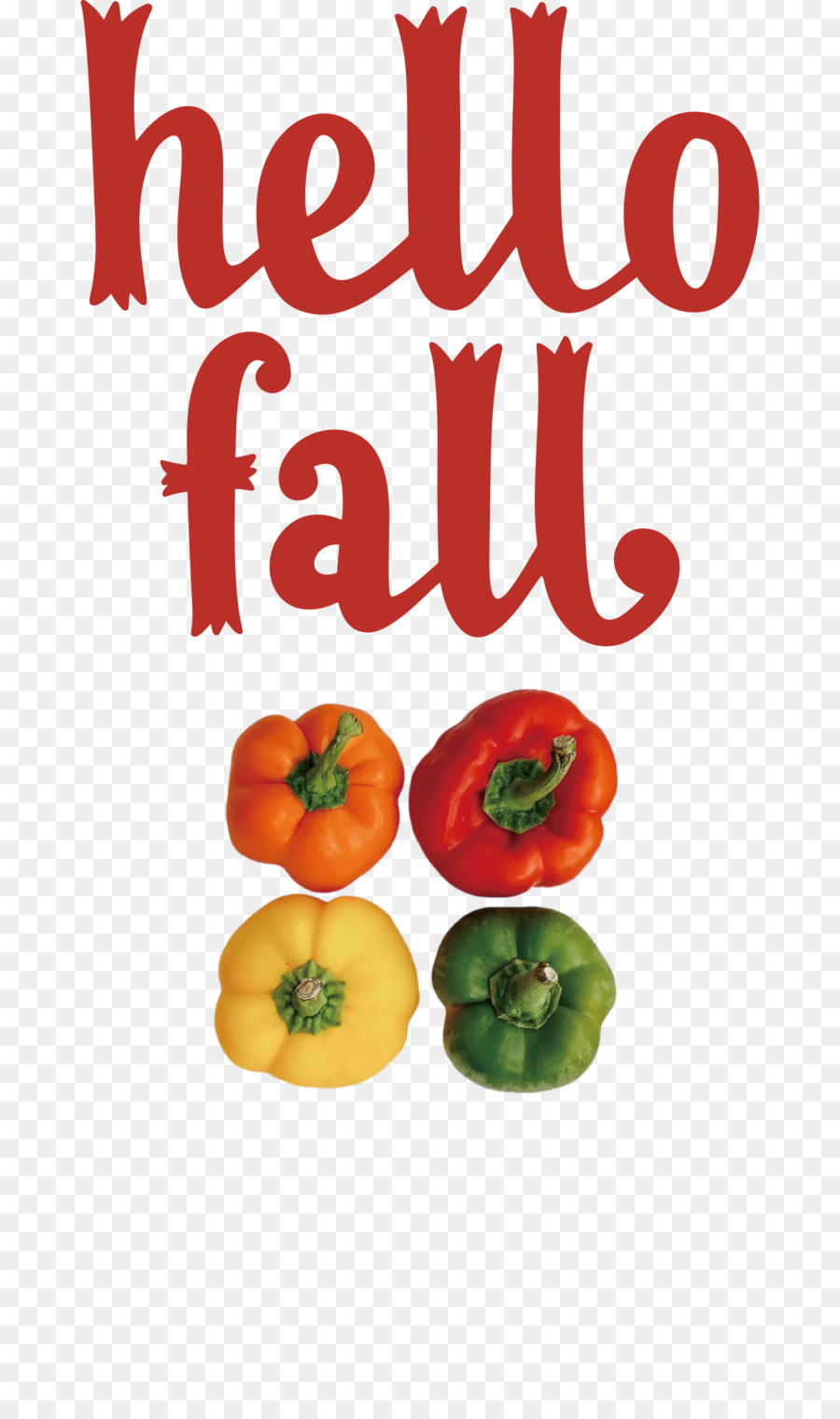 Bonjour Automne，Automne PNG