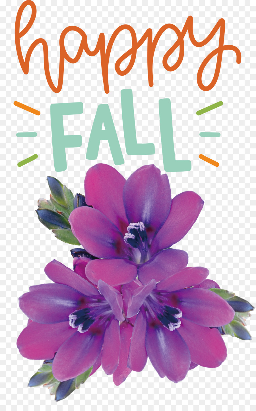 Violet，Fleur PNG