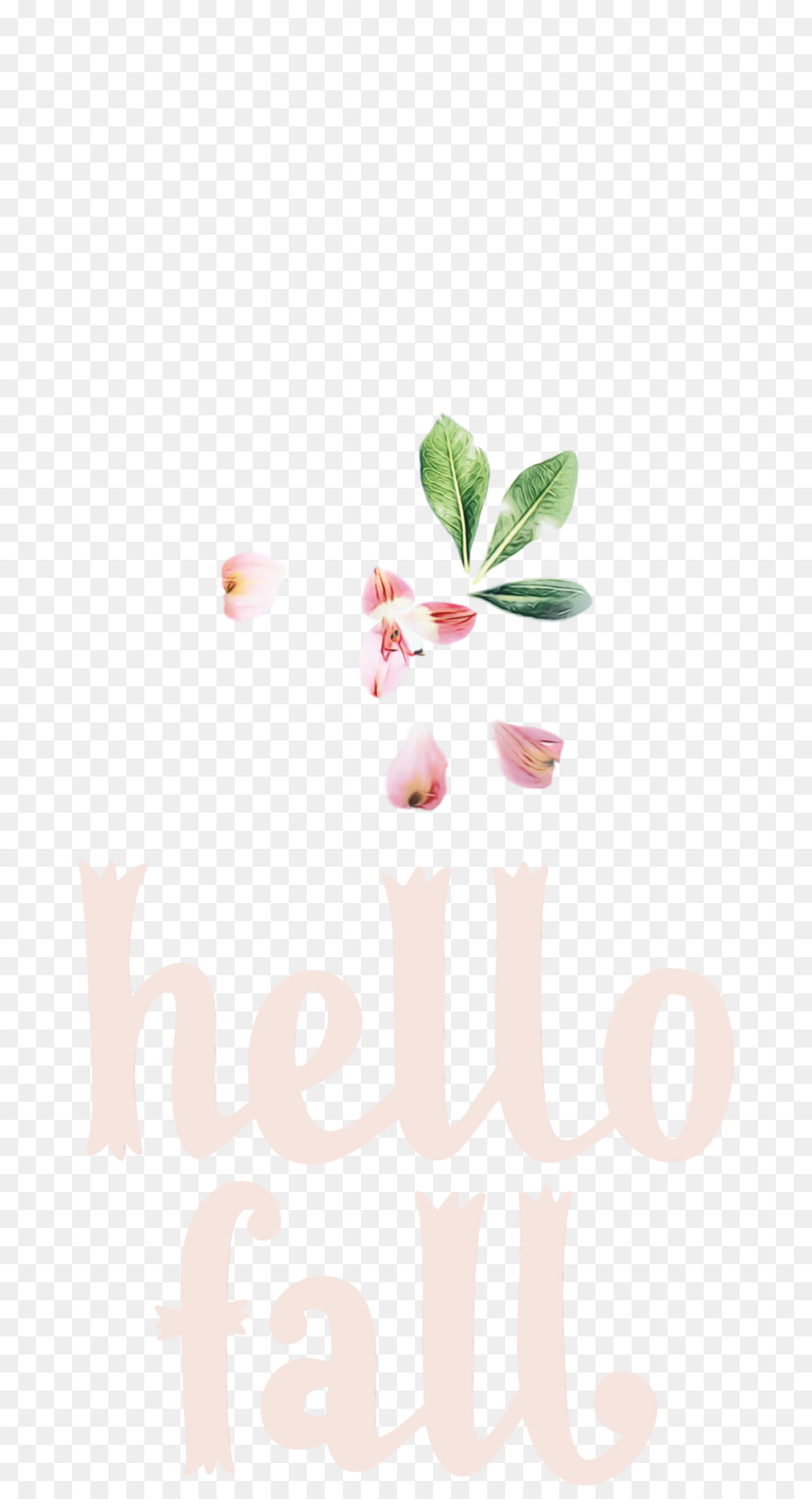 Design Floral，Fleur PNG