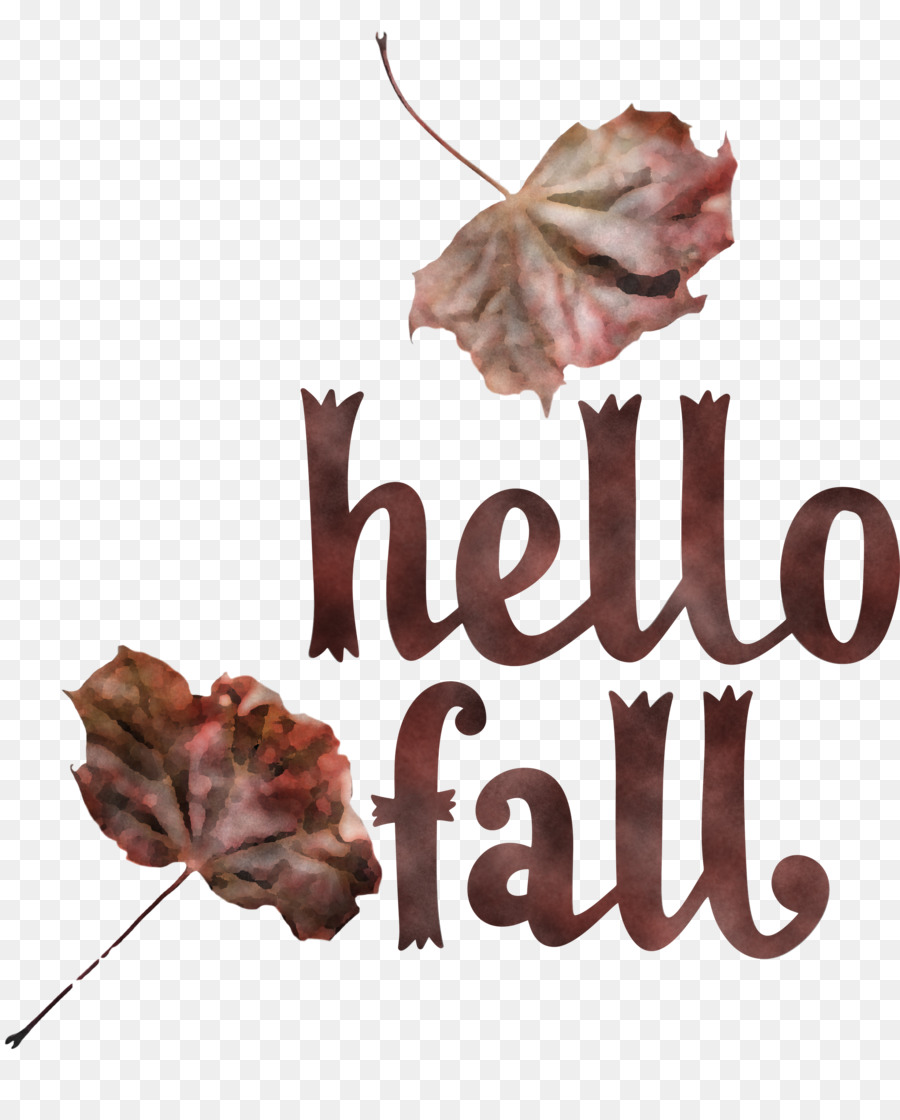 Feuille D'automne，Automne PNG