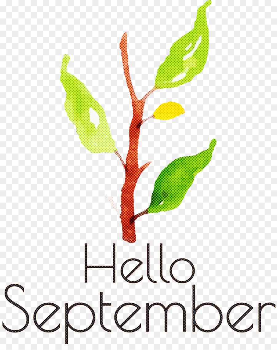 Bonjour Septembre，Automne PNG