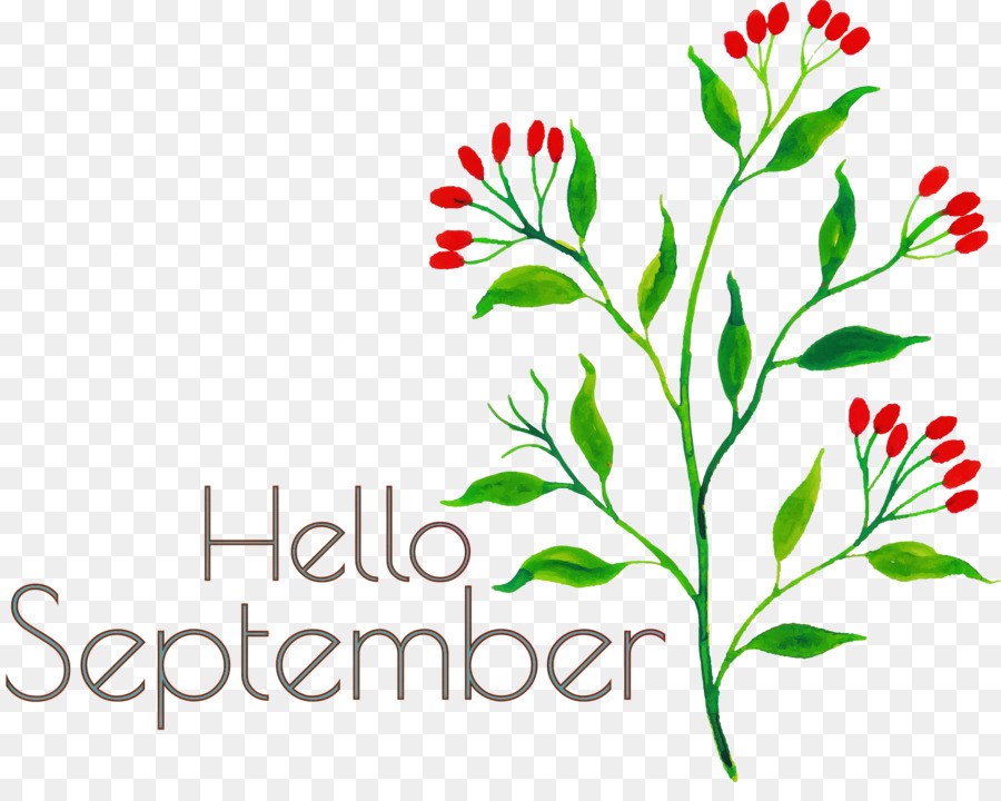 Bonjour Septembre，Mois PNG