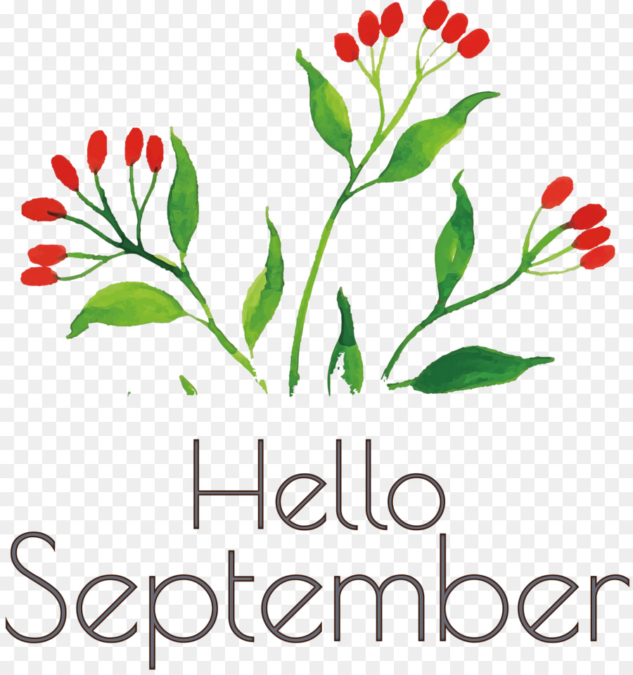 Bonjour Septembre，Mois PNG