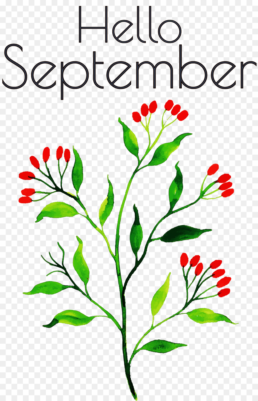 Bonjour Septembre，Mois PNG