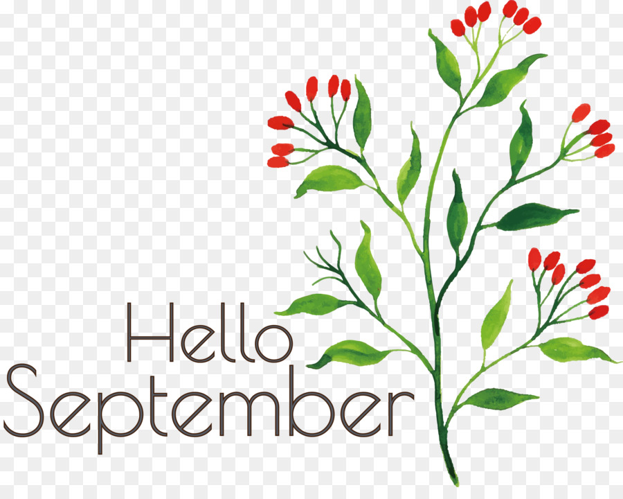 Bonjour Septembre，Mois PNG