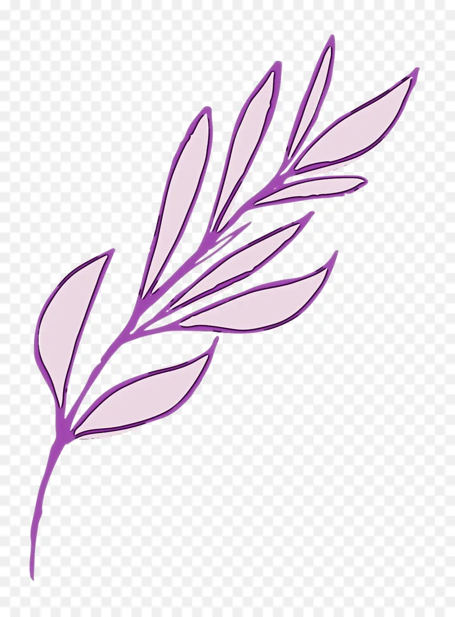 Feuille Violette，Bifurquer PNG