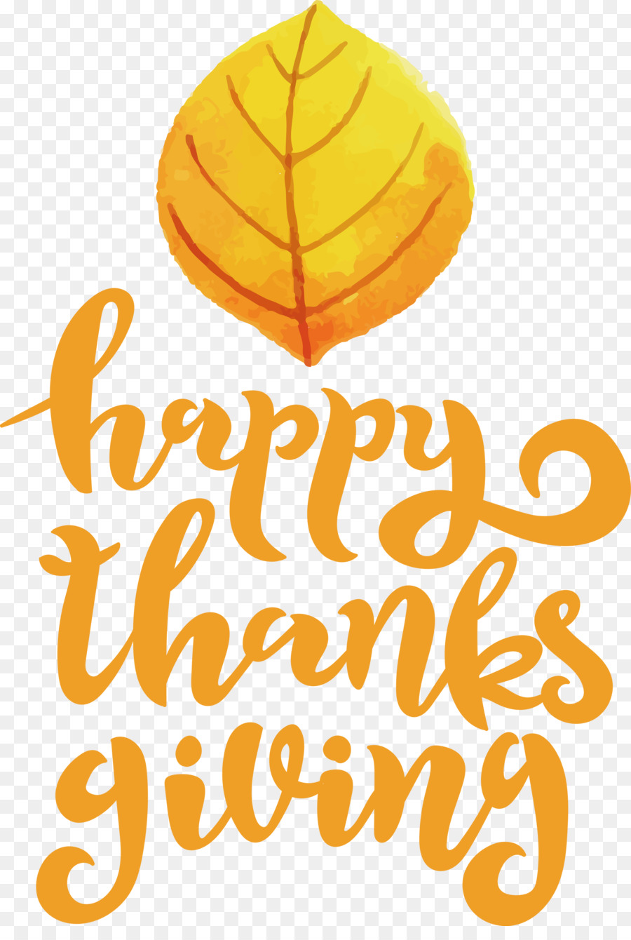 Joyeux Thanksgiving，Feuille PNG