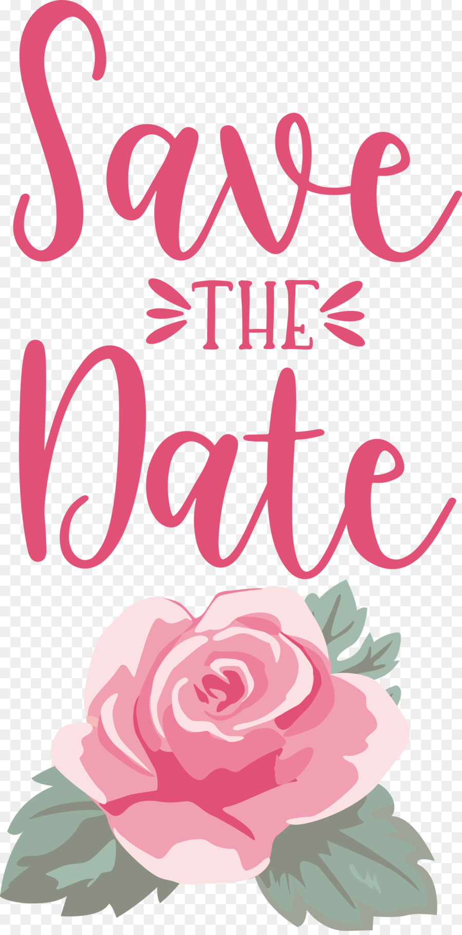 Design Floral，Les Roses De Jardin PNG