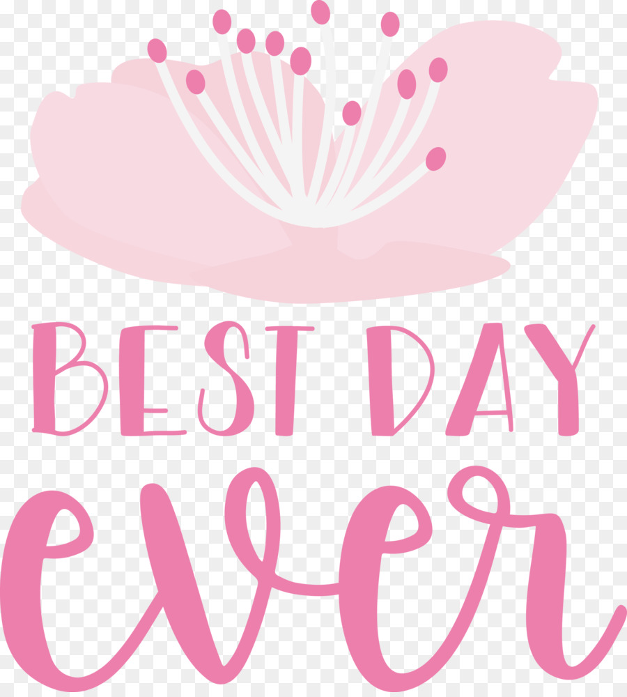 Design Floral，Logo PNG