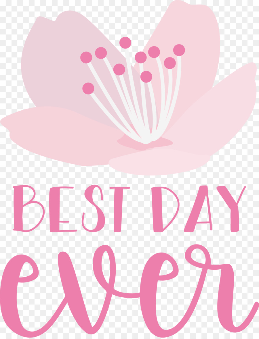 Design Floral，Logo PNG