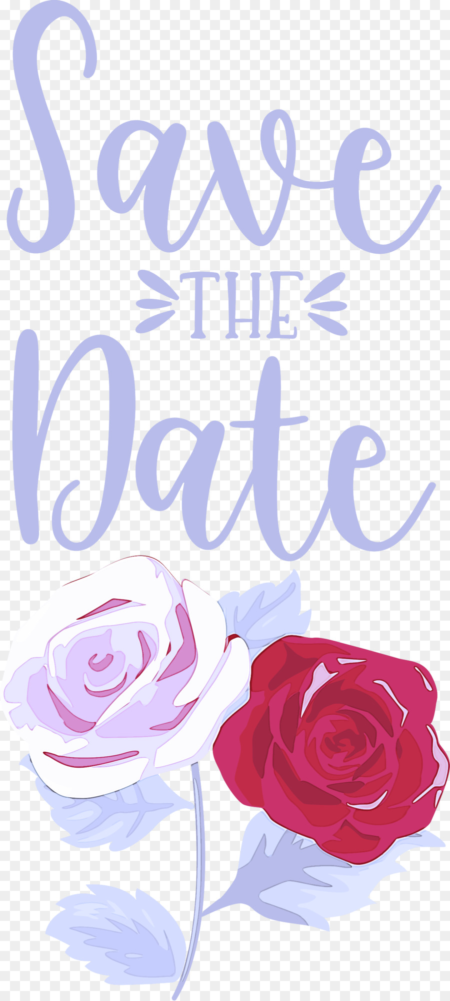 Design Floral，Les Roses De Jardin PNG